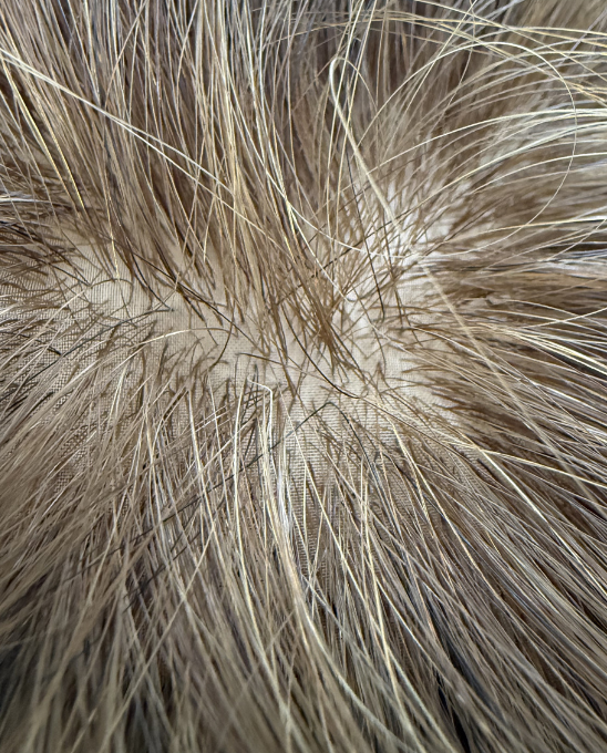 SIlk top wig microscopic